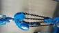 Ce Standard Electrical Cable Pulling Tools 10KN Chain Type Handle Hoist