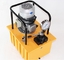 Single Action Type High Pressure Electric Pump 220W / 380W 700 Bar 50HZ